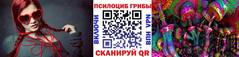 купить  сайты  mega как войти  Псилоцибиновые грибы ЛСД  Северо-Курильск 